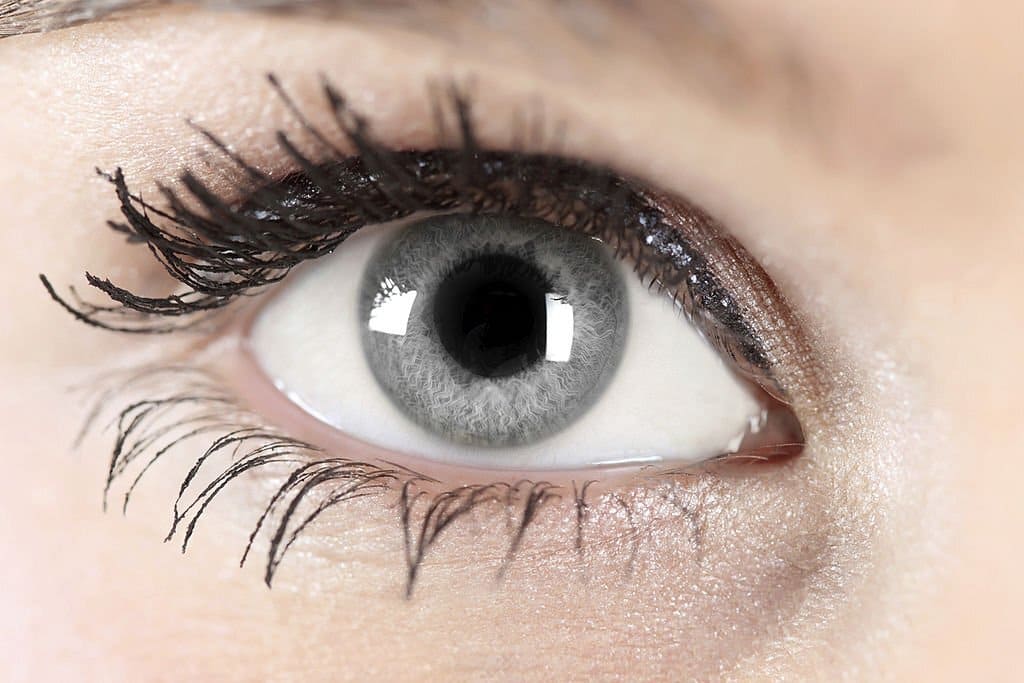 Facts About Gray Eyes Colorblindnesstest